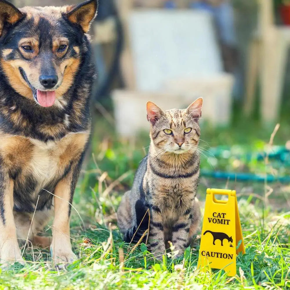 Cat Vomit Warning Sign Caution Vomit Wet Floor Sign Cat Garden Yard Warning Sign For Bathroom Living Room Decoration
